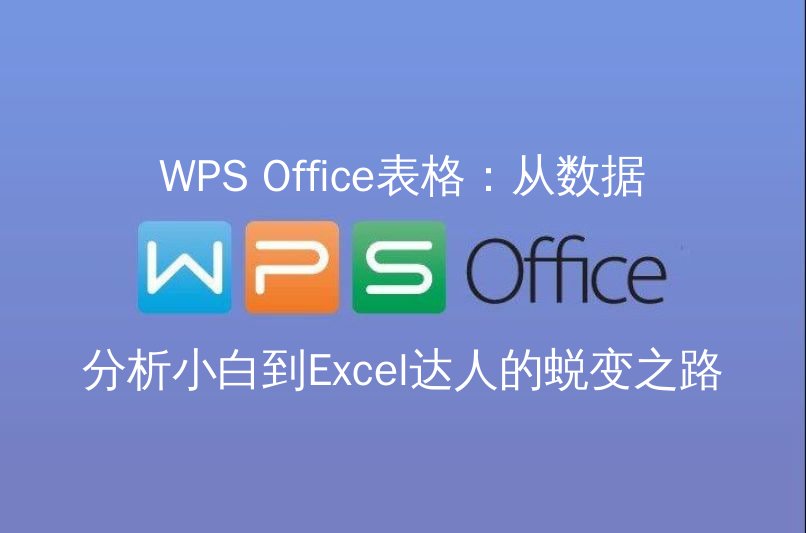 WPS Office表格：从数据分析小白到Excel达人的蜕变之路 - WPS Office操作指南