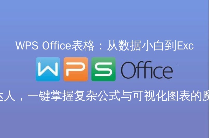 WPS Office：数据可视化图表制作示例
